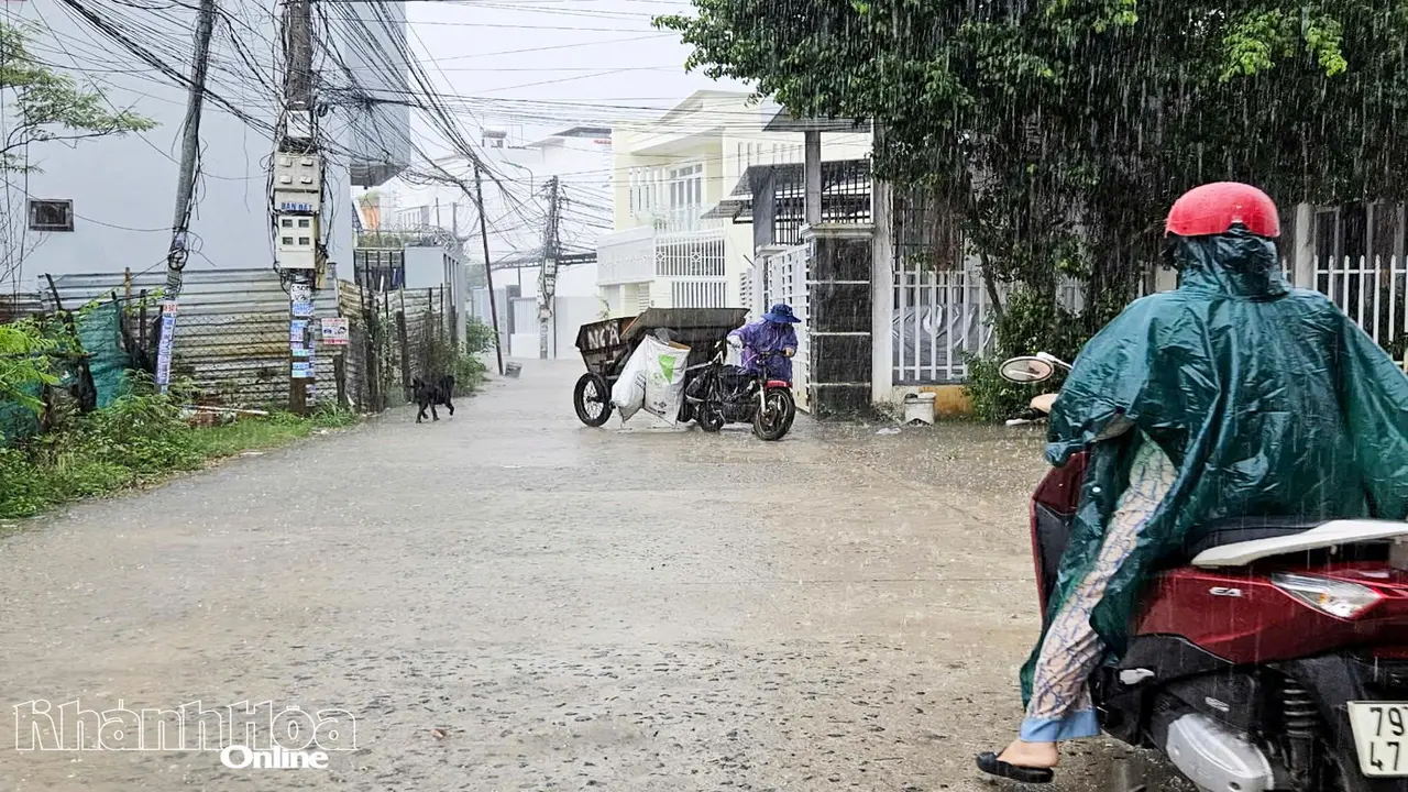 تحذيرات من عواصف رعدية قوية على اليابسة واضطراب حركة الرياح داخل البحر